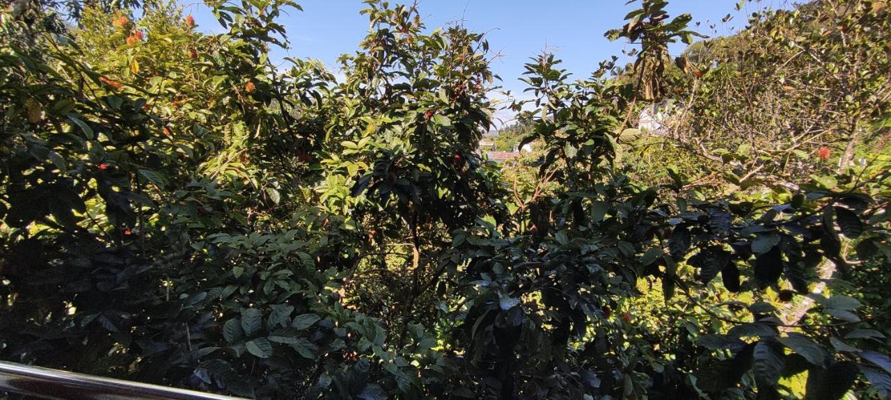 Soly'S Villa Homestay Munnar Kültér fotó