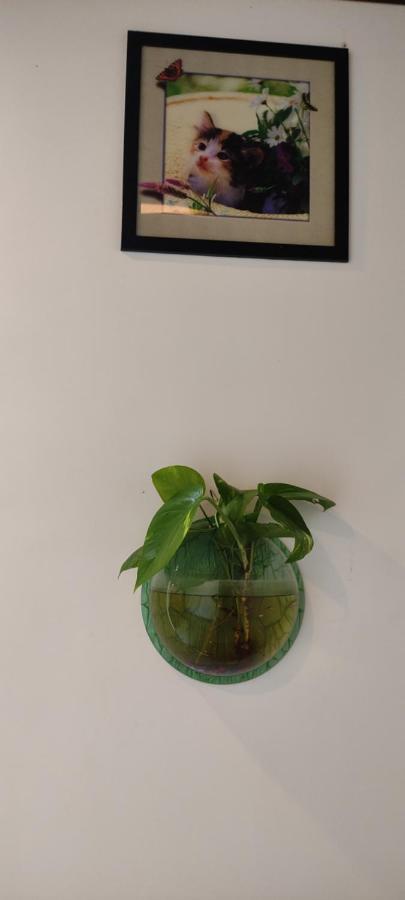 Soly'S Villa Homestay Munnar Kültér fotó