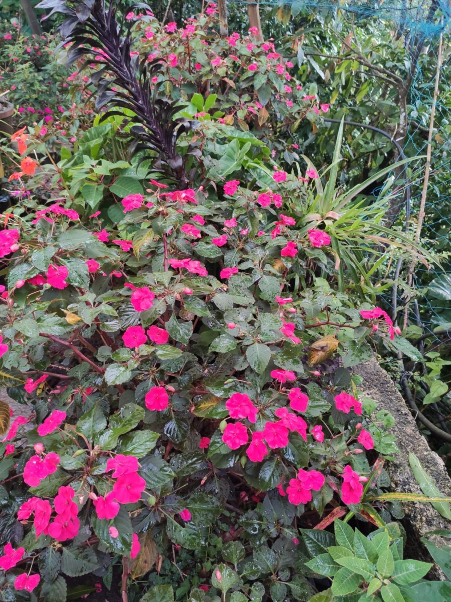 Soly'S Villa Homestay Munnar Szoba fotó