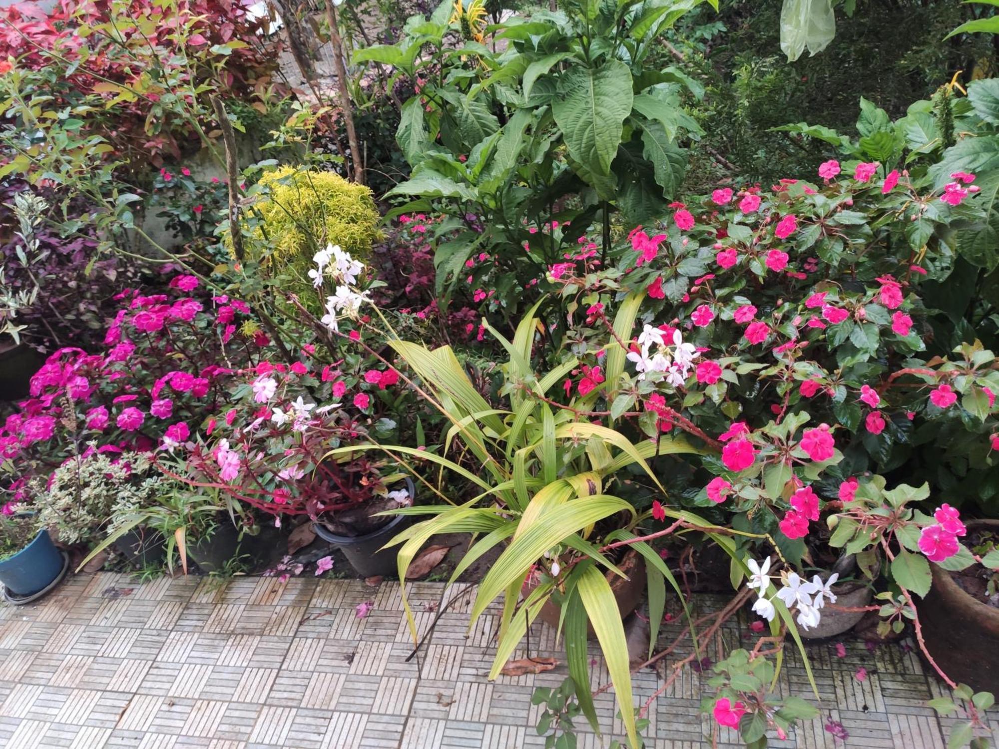 Soly'S Villa Homestay Munnar Kültér fotó