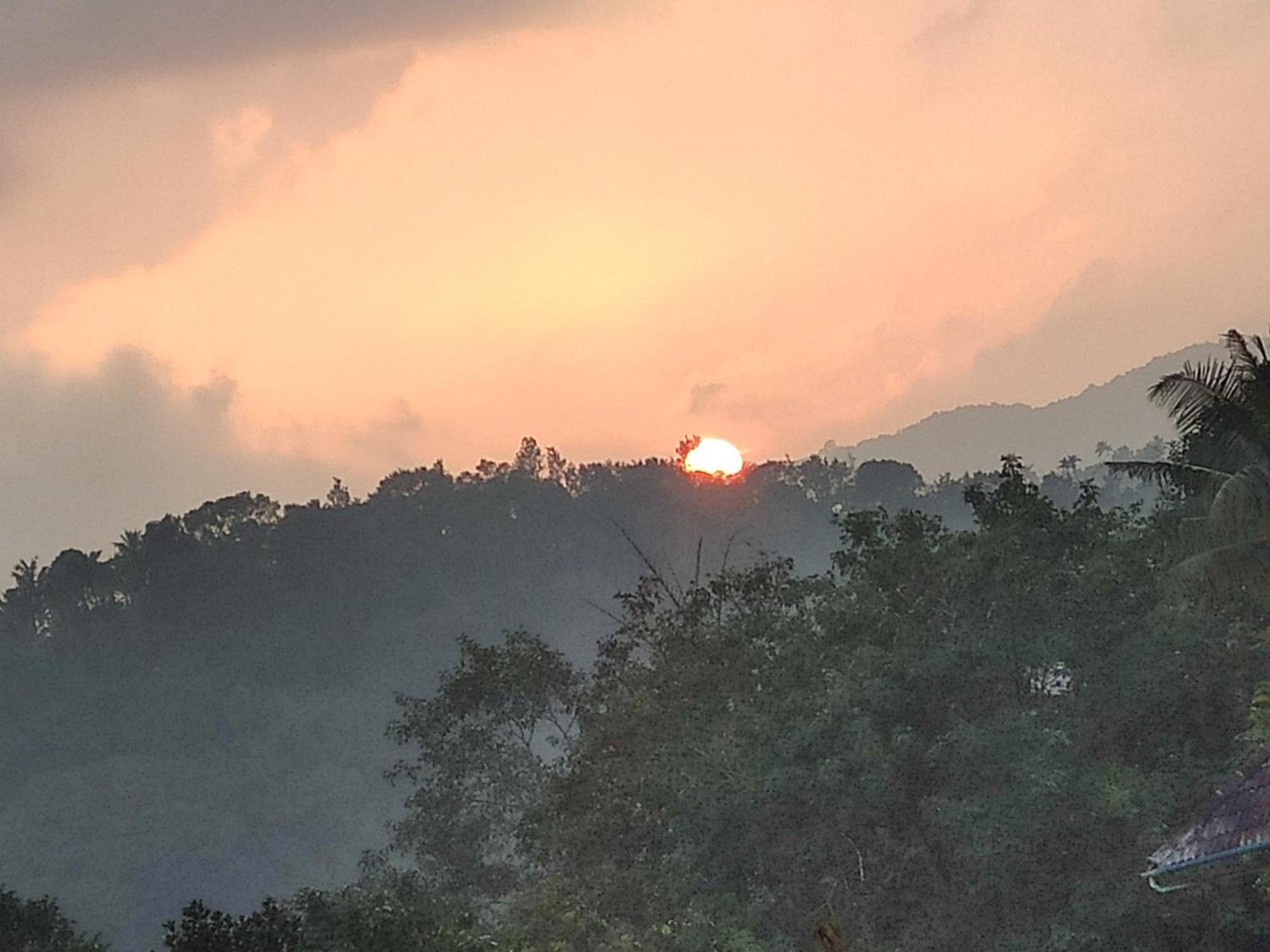 Soly'S Villa Homestay Munnar Kültér fotó